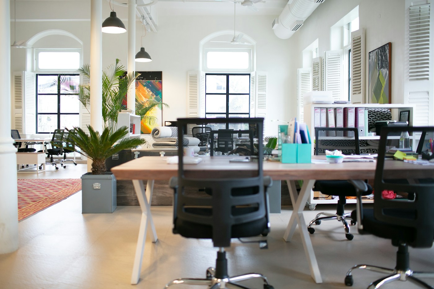 A bright shared workspace with desks, plants and tall windows